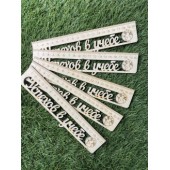 Набор линеек Успехов