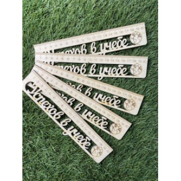 Набор линеек Успехов